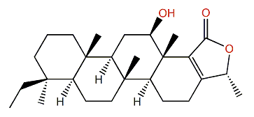 Phyllofolactone F